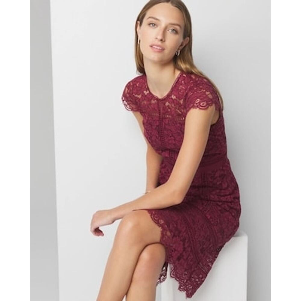 White House Black Market Lace Fit & Flare Dress In Windsor Wine Size 6 NWT - Picture 4 of 12